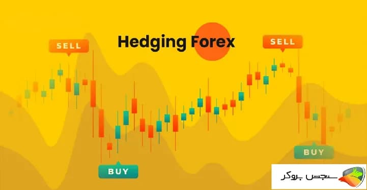 هج در فارکس چیست؟ (Hedge) آموزش هج در فارکس