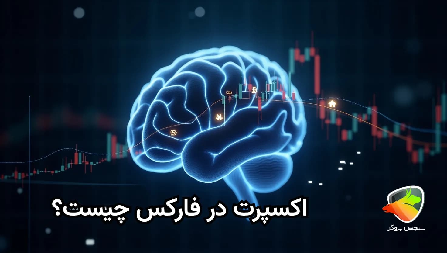 اکسپرت فارکس چیست؟