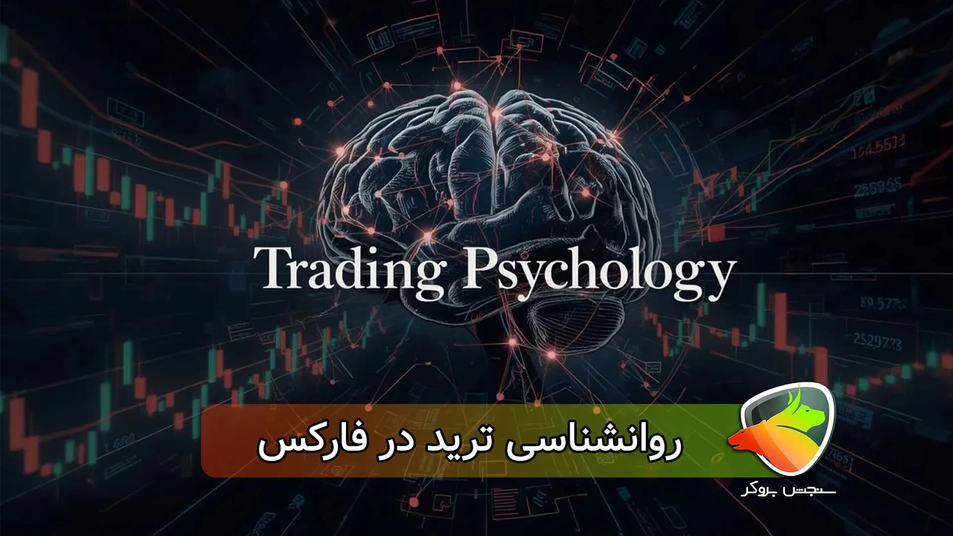 آموزش روانشناسی تریدر (معامله گری در فارکس)