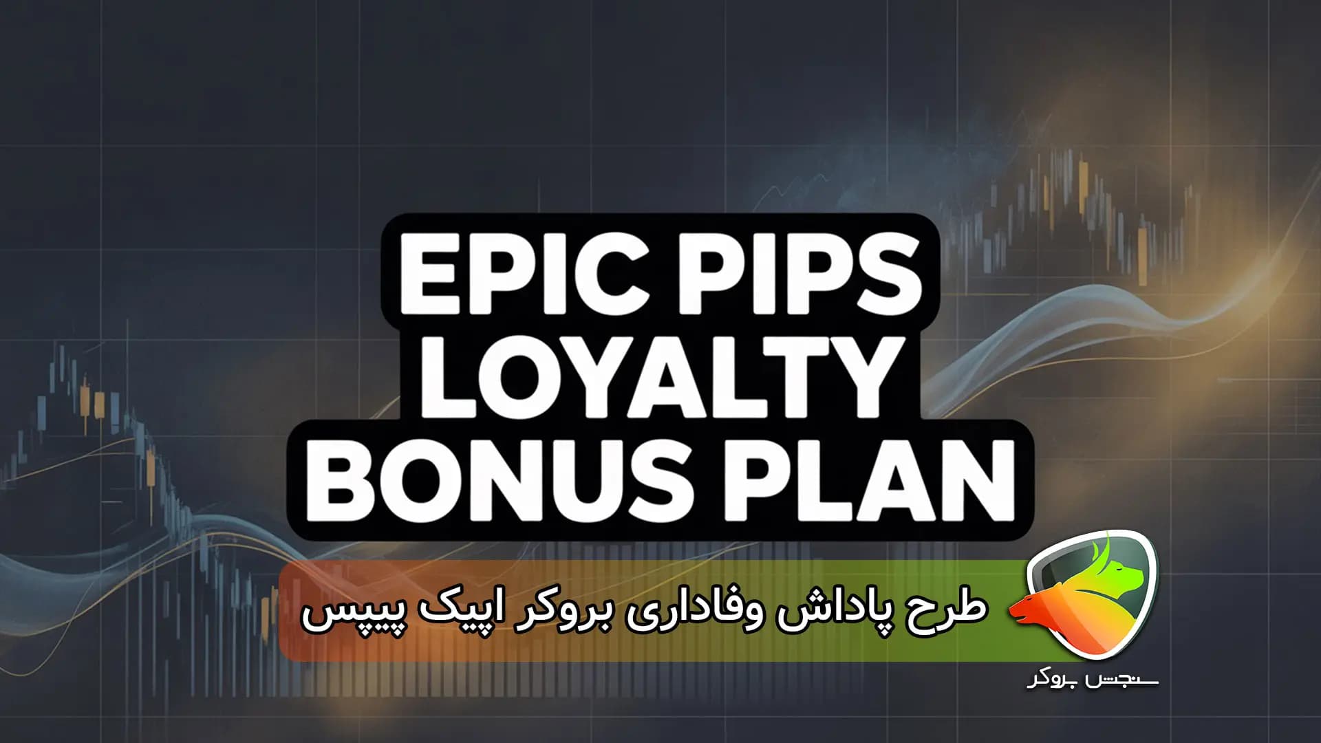 طرح پاداش وفاداری Epicpips Broker