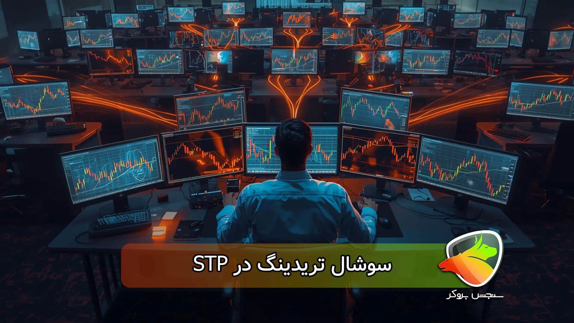 جزئیات سوشال تریدینگ در stp