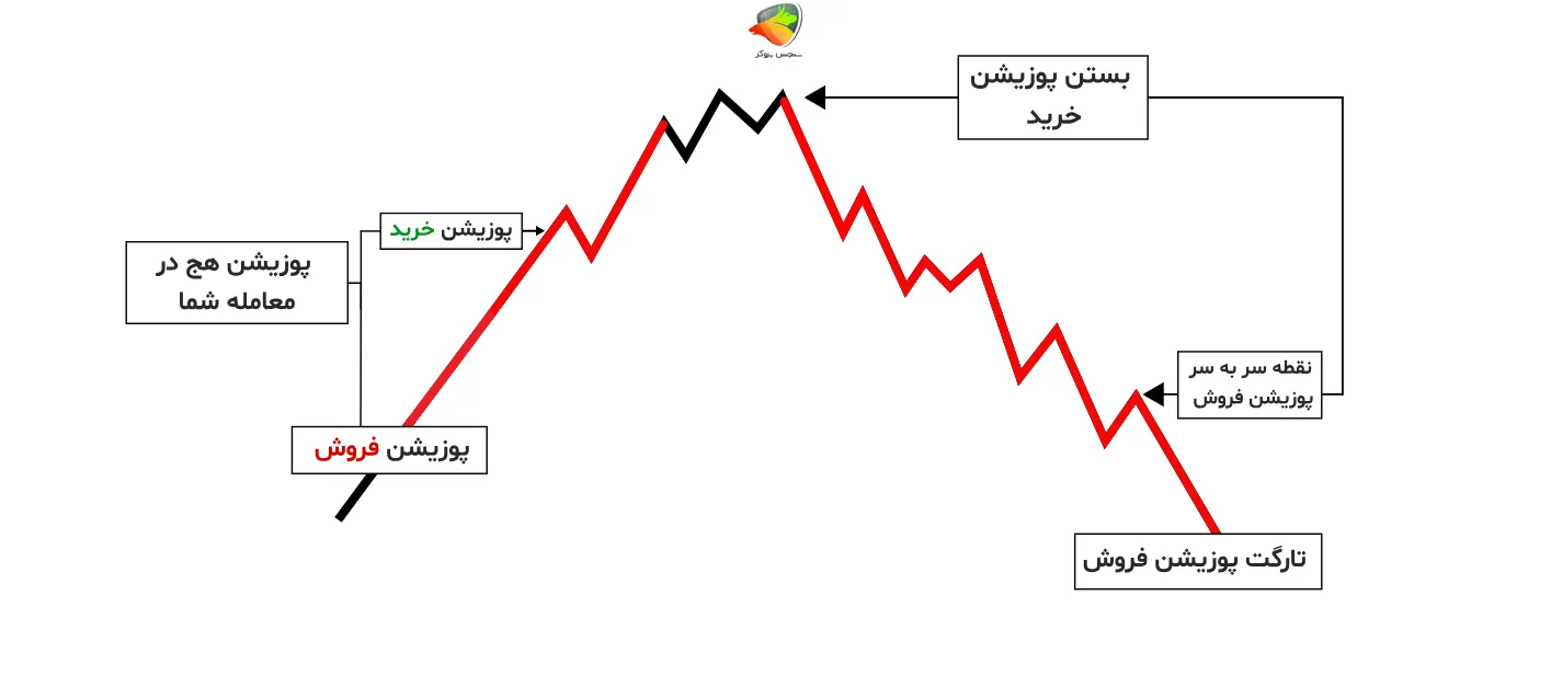 هج در مارجین منفی در STP Trading