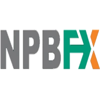 ان پی بی اف ایکس-NPB FX