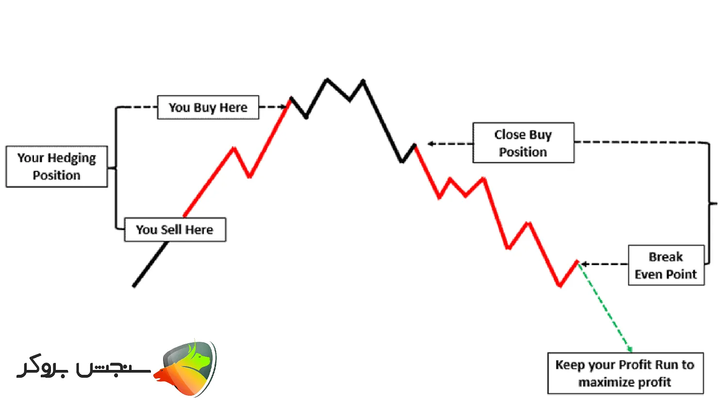 آموزش استفاده از هجینگ در فارکس
