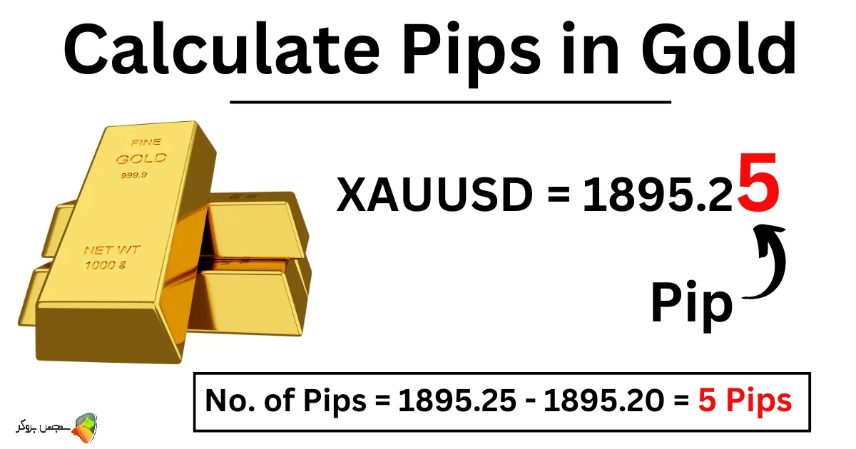 هر پیپ در طلا