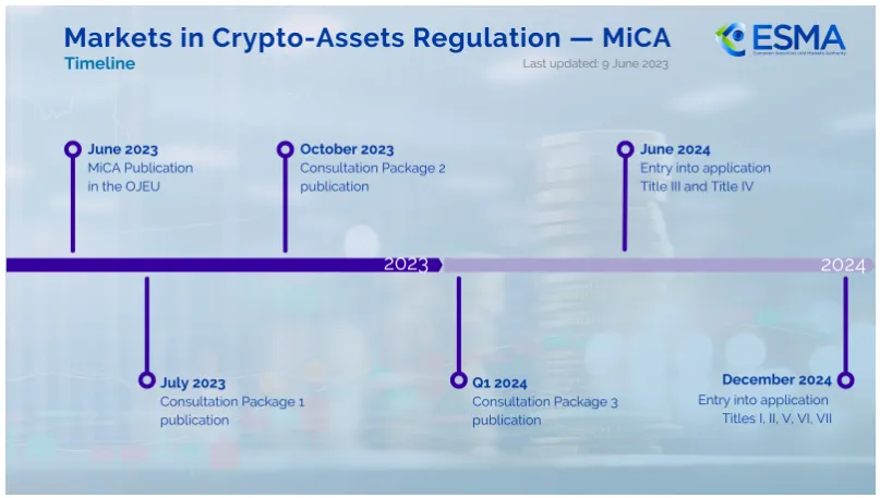 تاریخچه تصویب قانون میکا