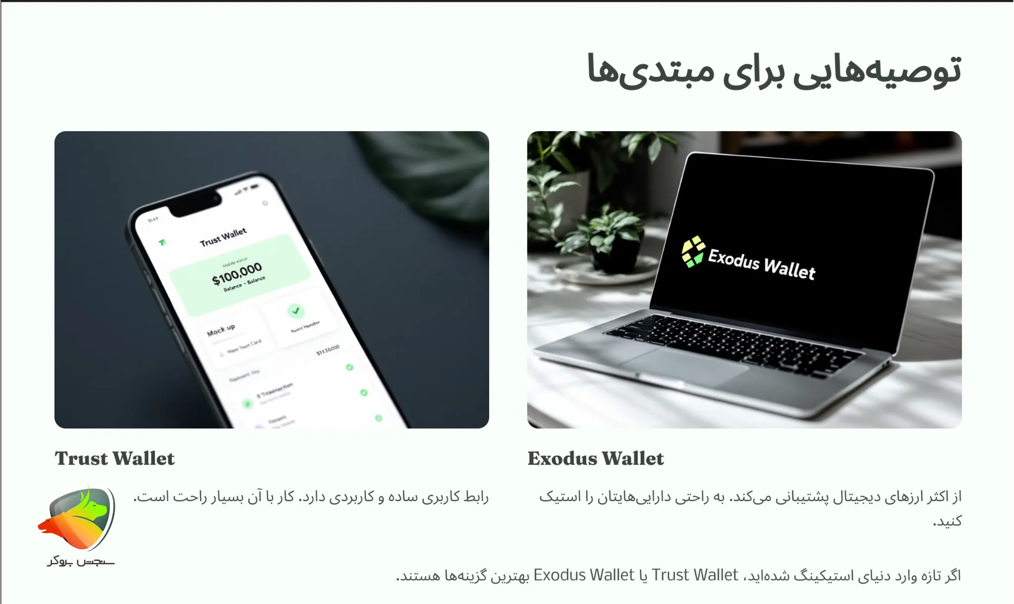 توصیه برای مبتدیان برای بهترین کیف پول برای استیک