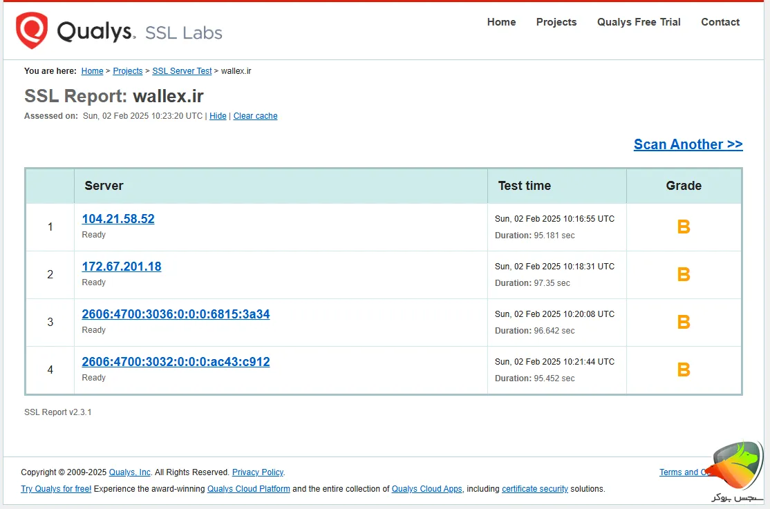 بررسی صرافی والکس در تست امنیتی Qualys