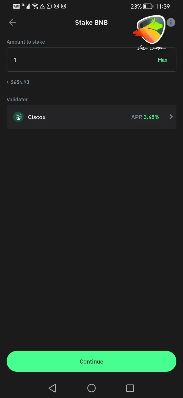 استیک تراست ولت با ارز BNB