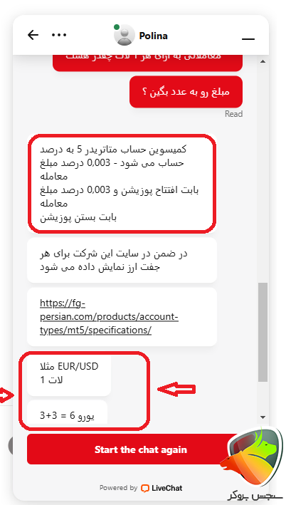 چت با پشتیبانی بروکر FIBOGROUP
