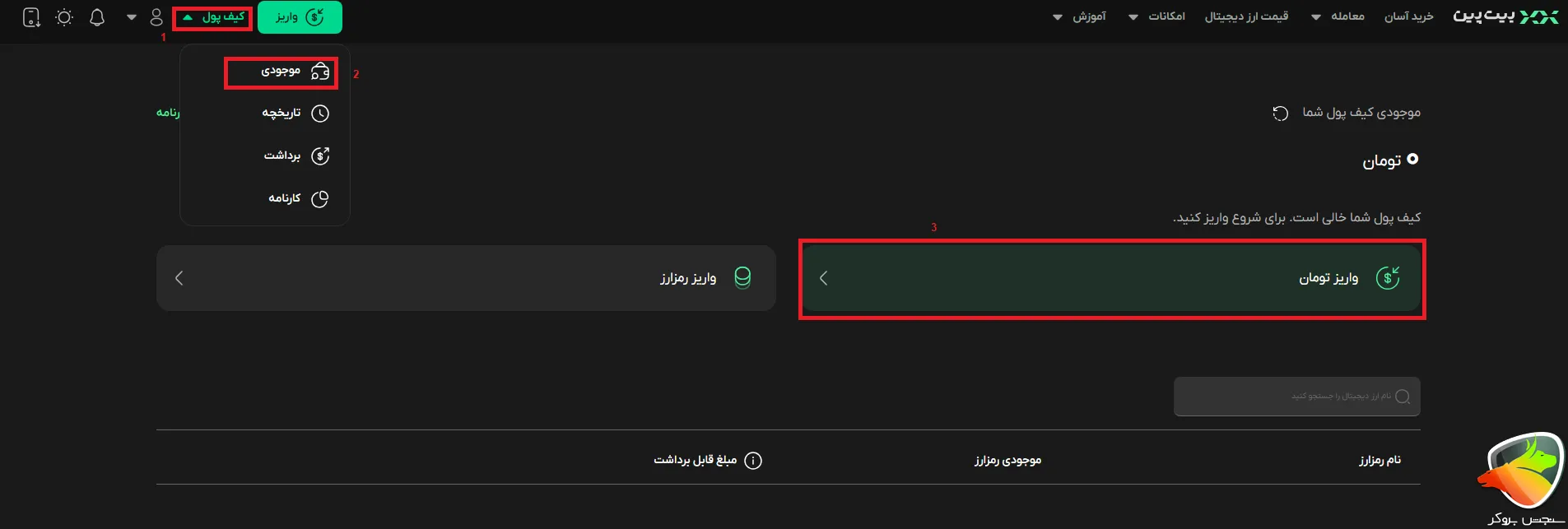 آموزش واریز بیت پین