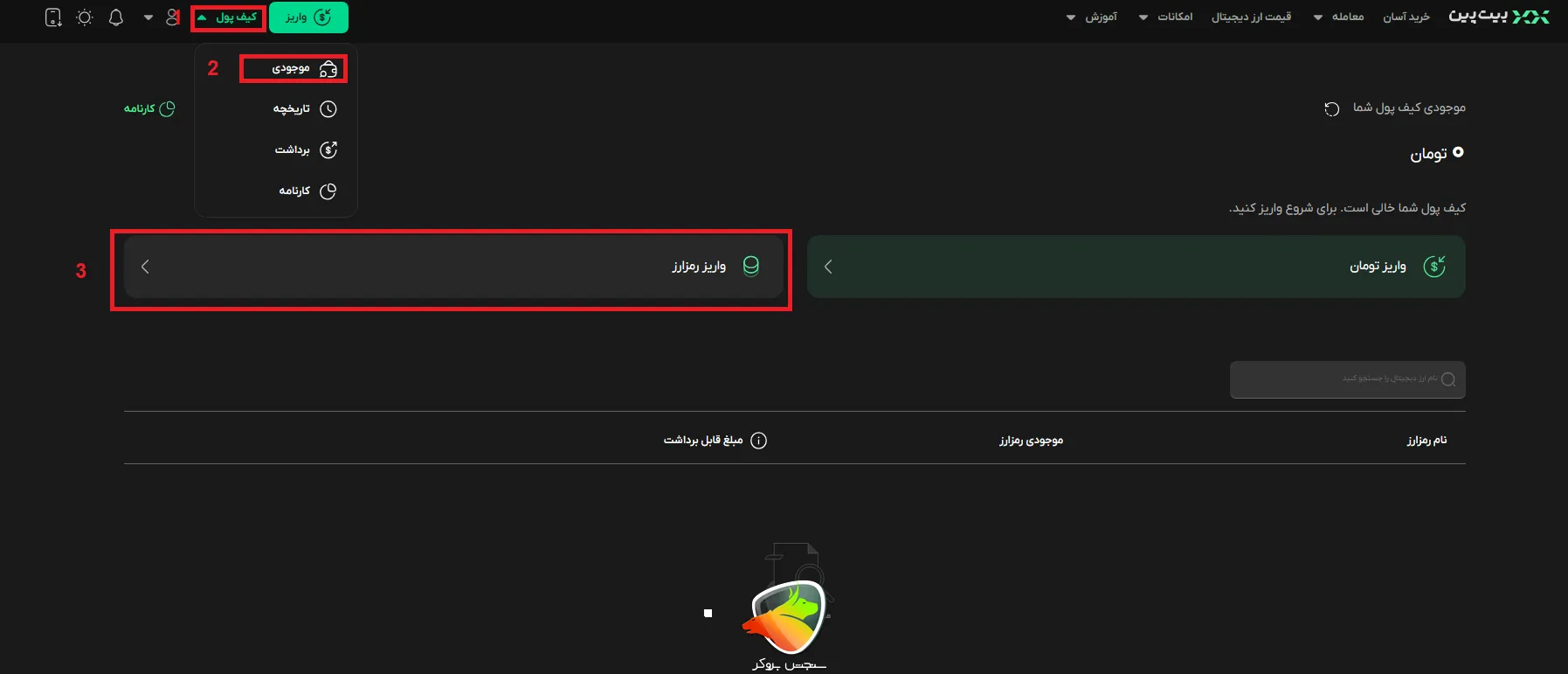 واریز رمزارز در بیت پین