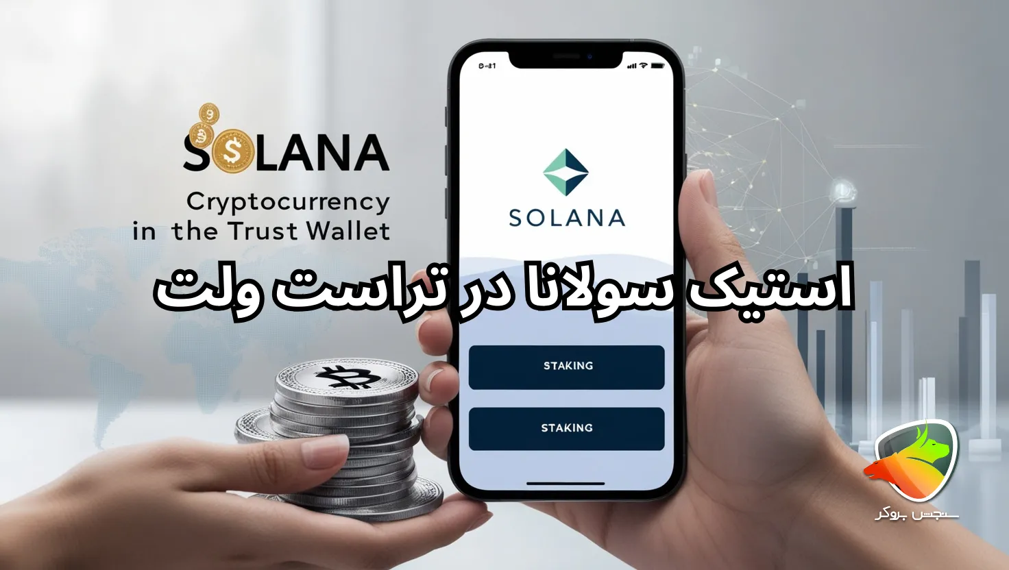استیک سولانا در تراست ولت