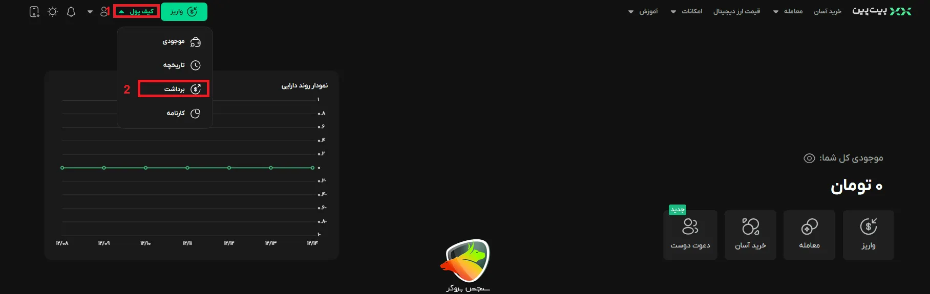 اموزش برداشت از بیت پین به صورت تومان