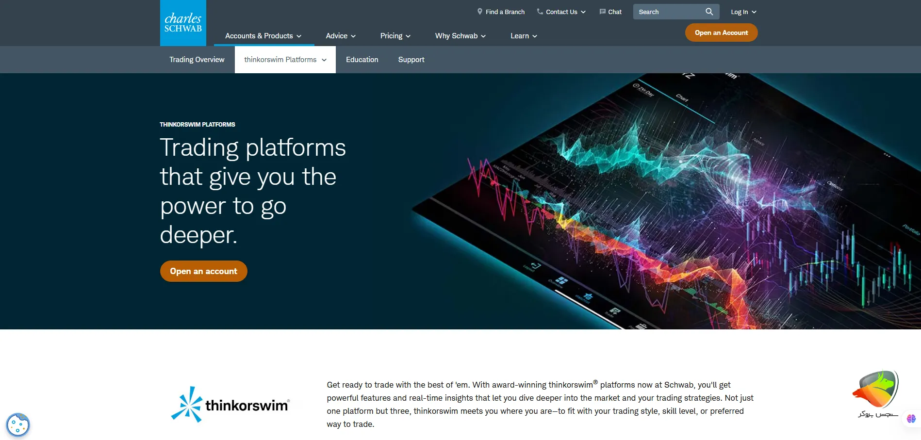پلتفورم Thinkorswim به عنوان بهترین جایگزین متاتریدر