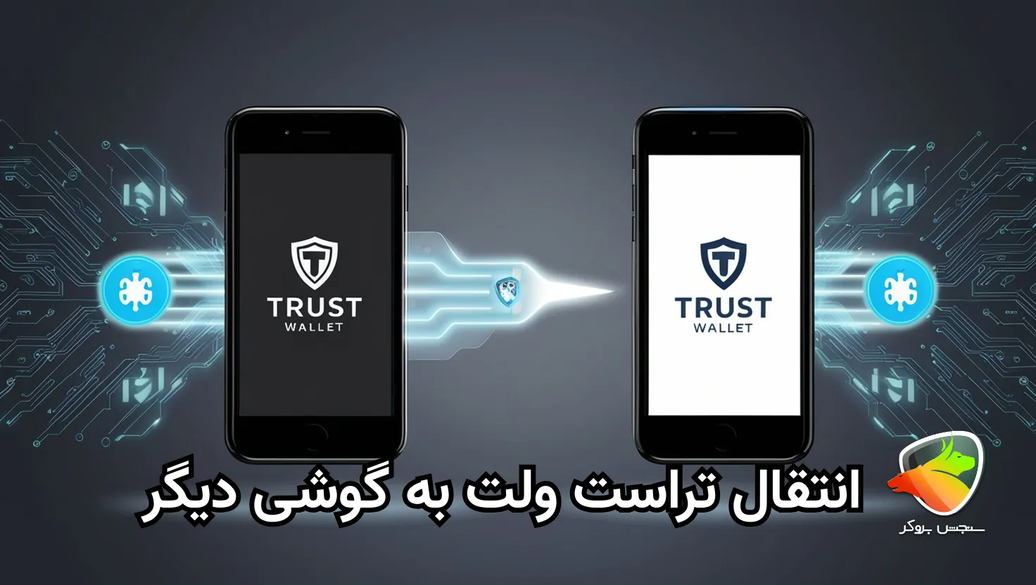 اموزش انتقال تراست ولت به گوشی دیگر