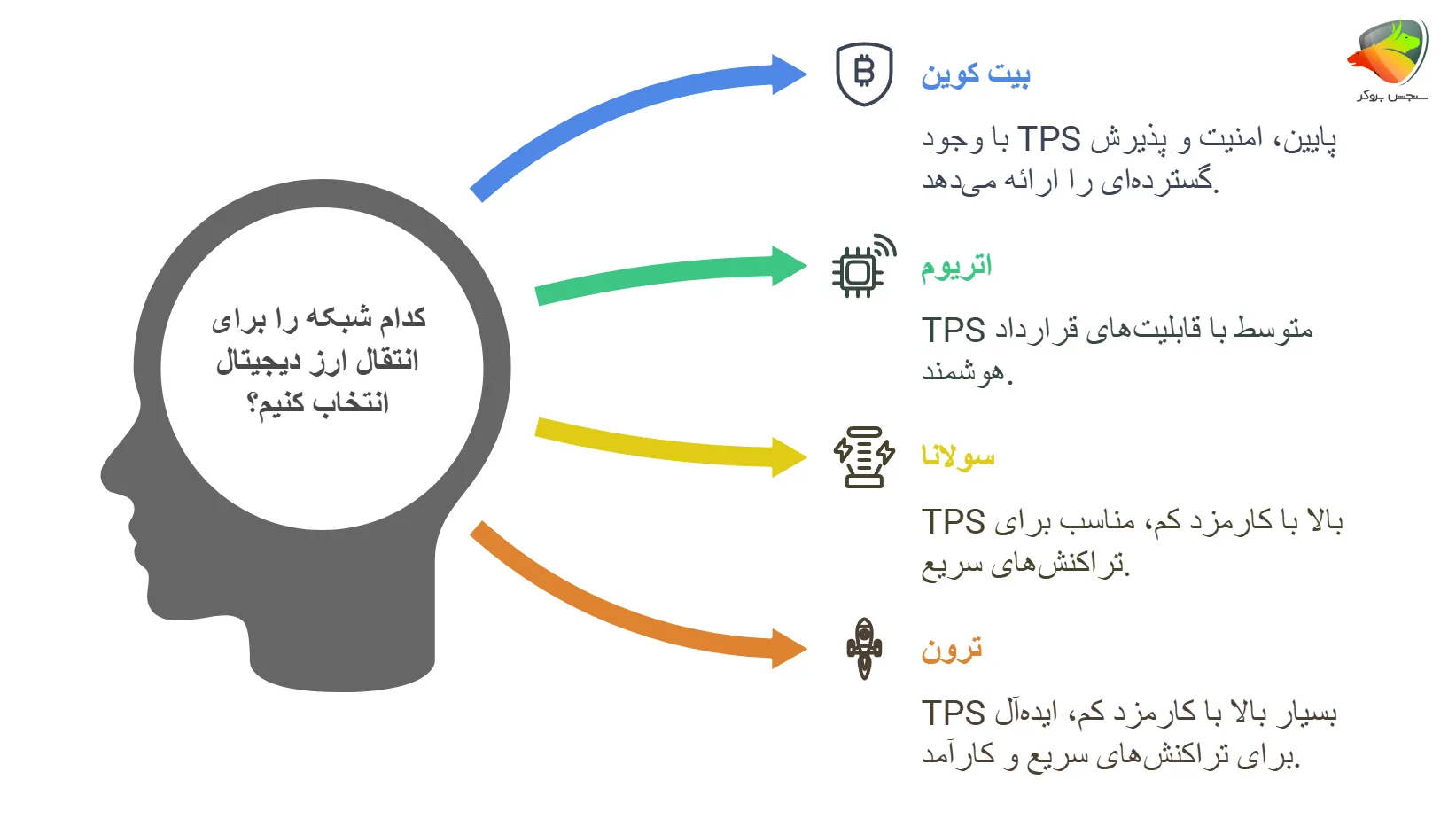 تفاوت مدت زمان انتقال ارز به تراست ولت در شبکه‌های مختلف
