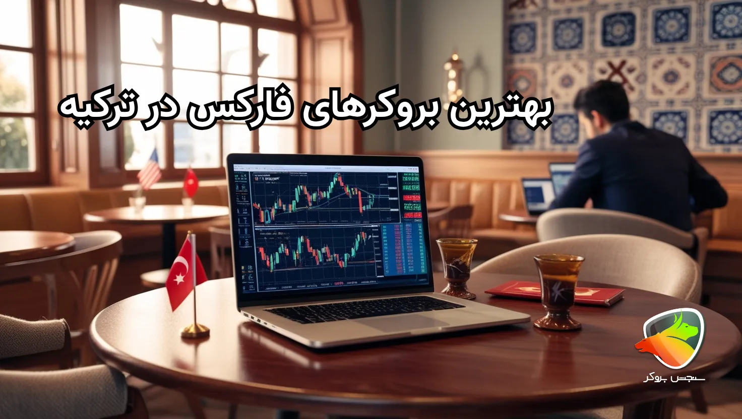 بهترین بروکرهای فارکس در ترکیه