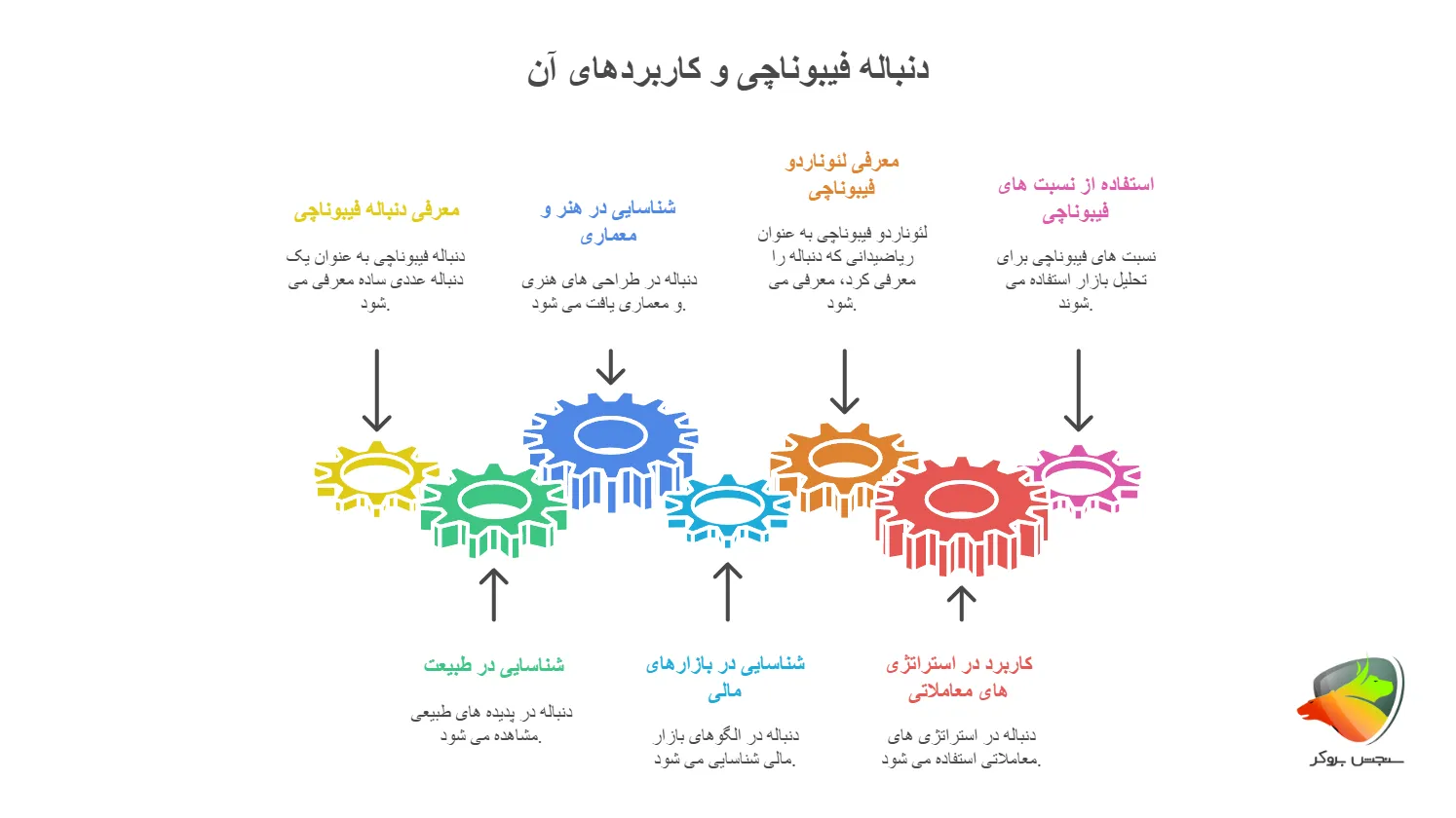 فیبوناچی چیست؟
