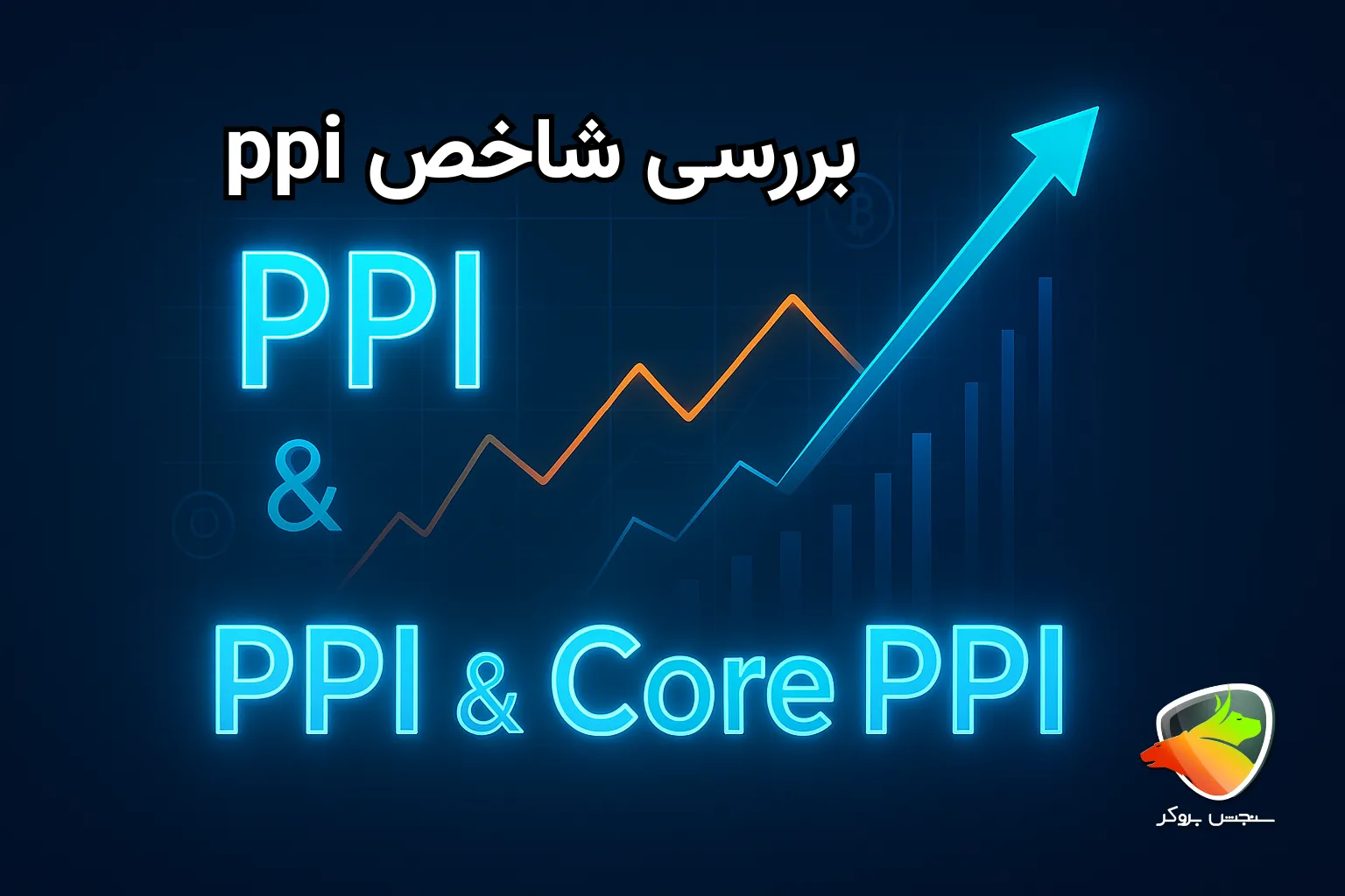 شاخص ppi چیست؟