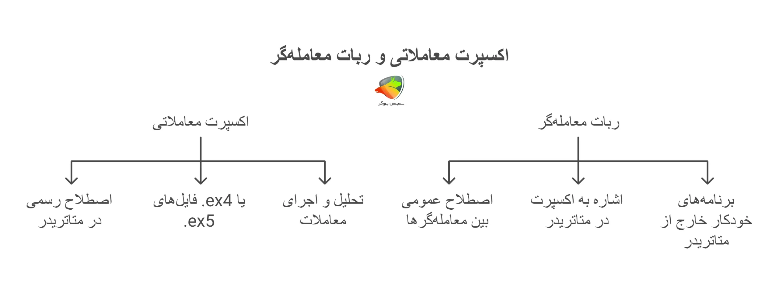 تفاوت اکسپرت و ربات
