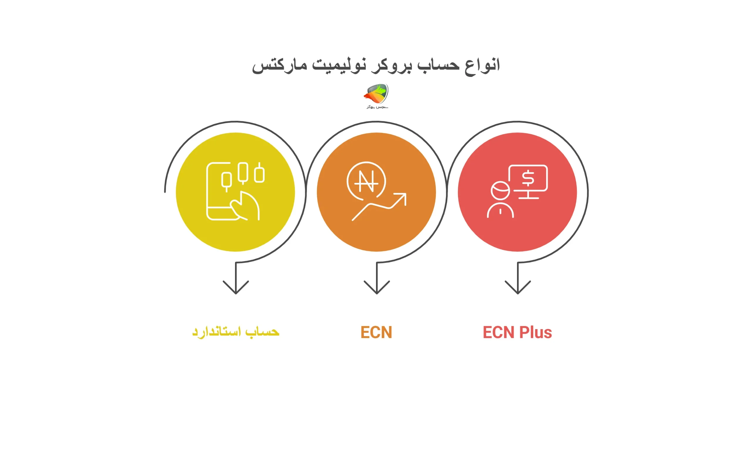 بررسی حسابهای معاملاتی بروکر نولیمیت مارکتس