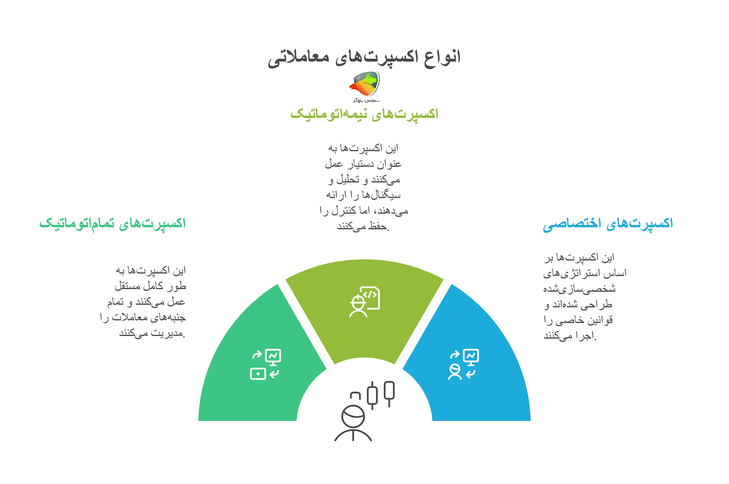 انواع اکسپرت
