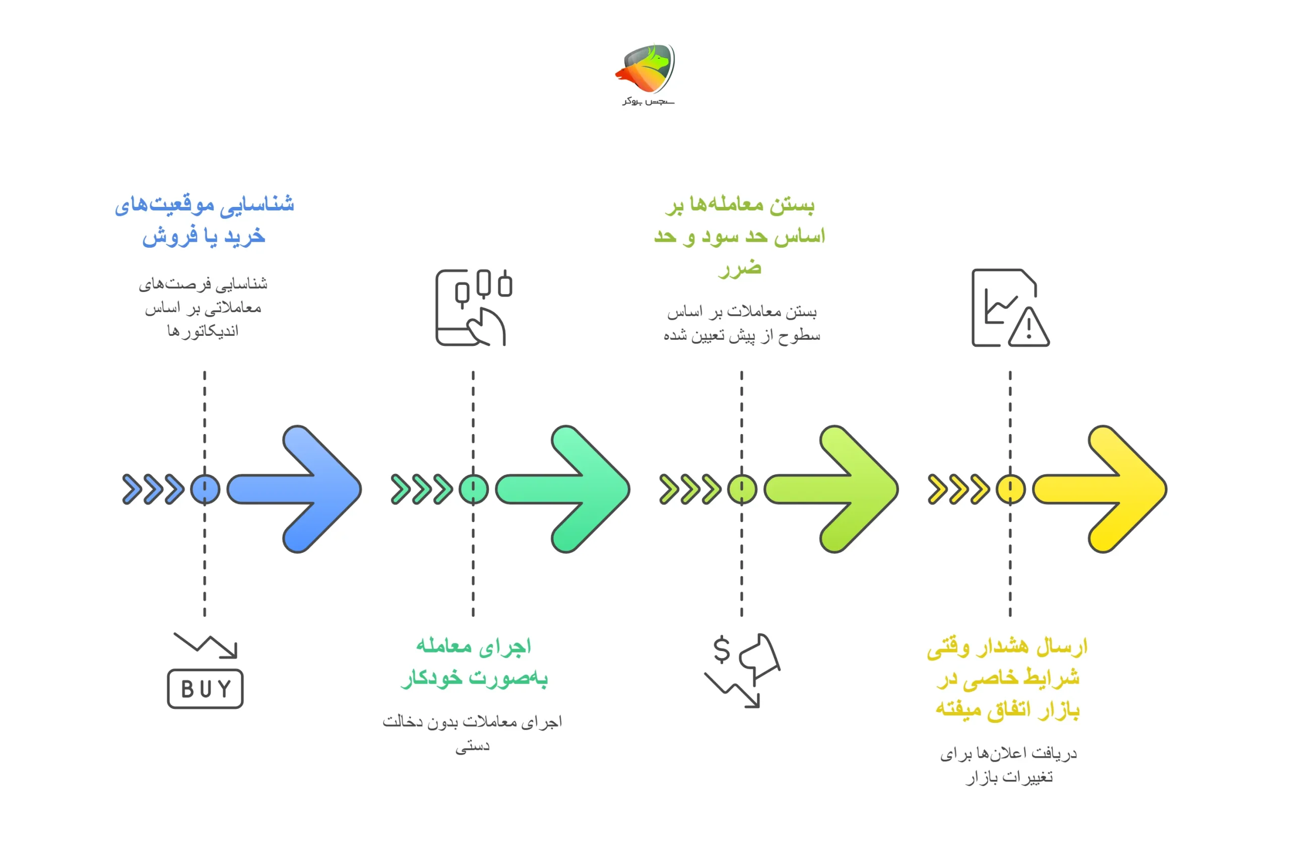 اکسپرت چیست؟