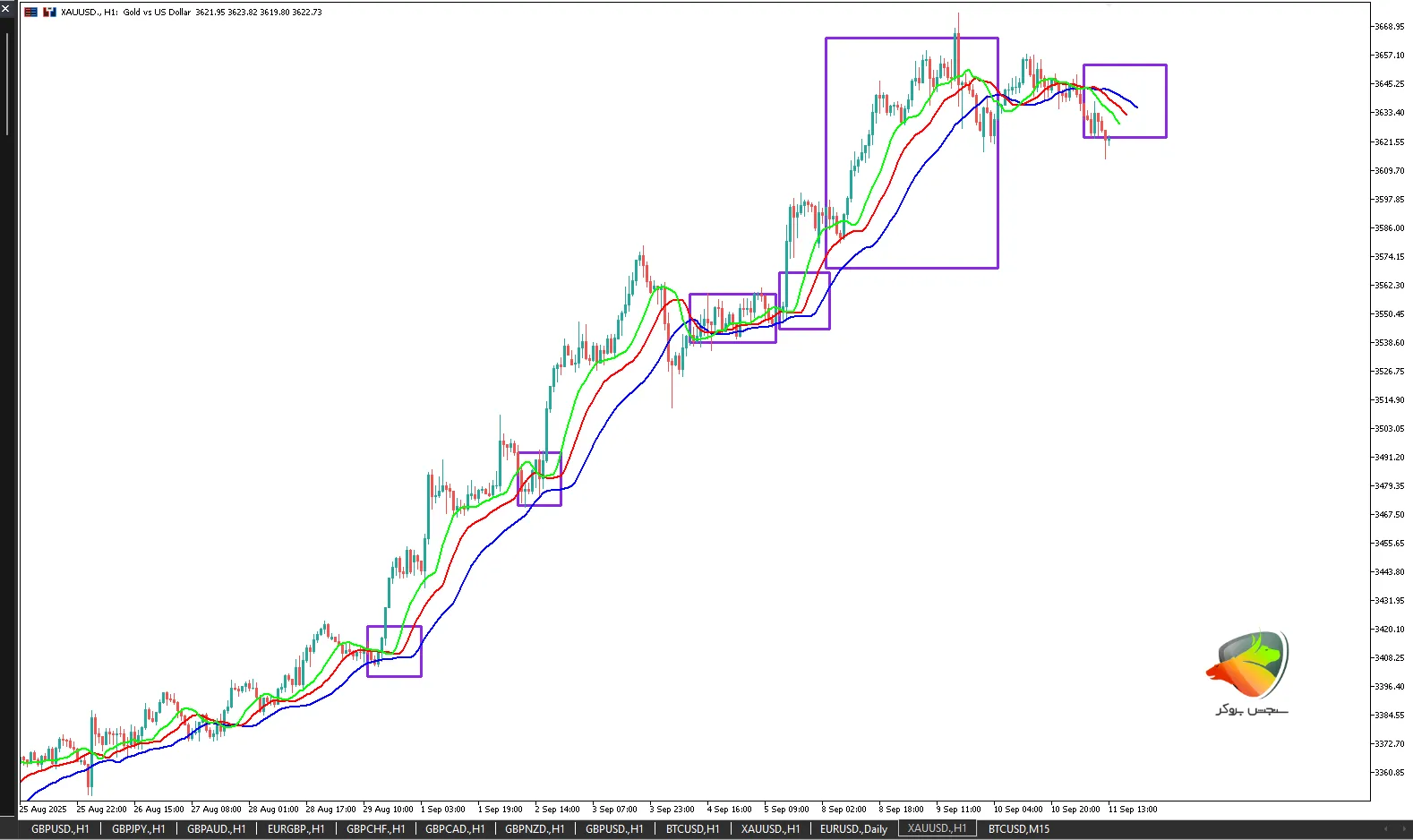 الیگیتور | یکی از بهترین اندیکاتور ها