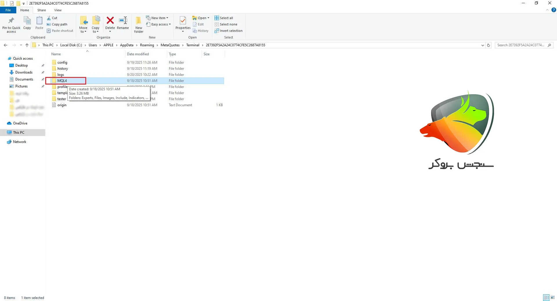 آموزش نصب ربات ترید رایگان مرحله 3