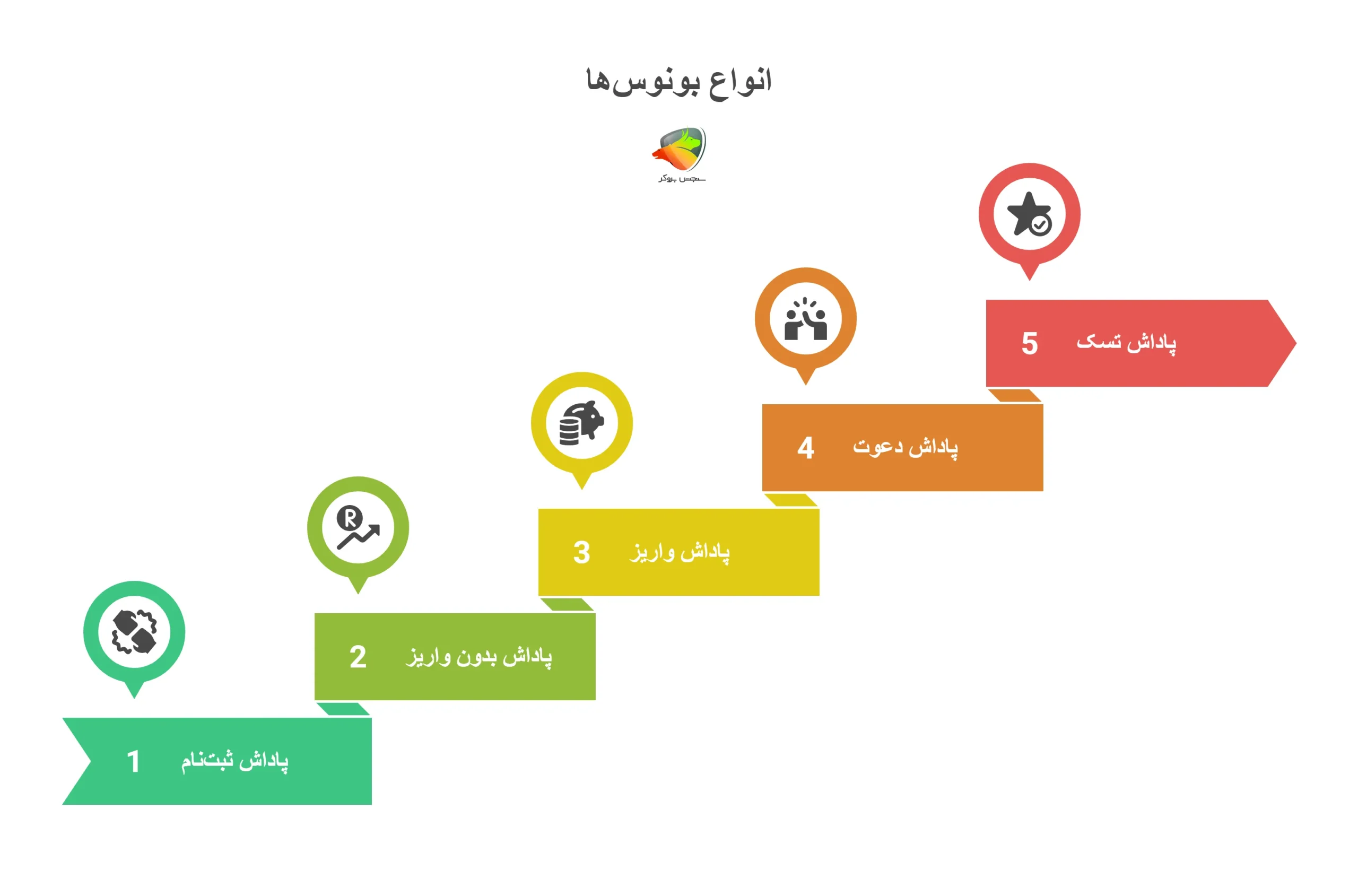 انواع بونوس ها