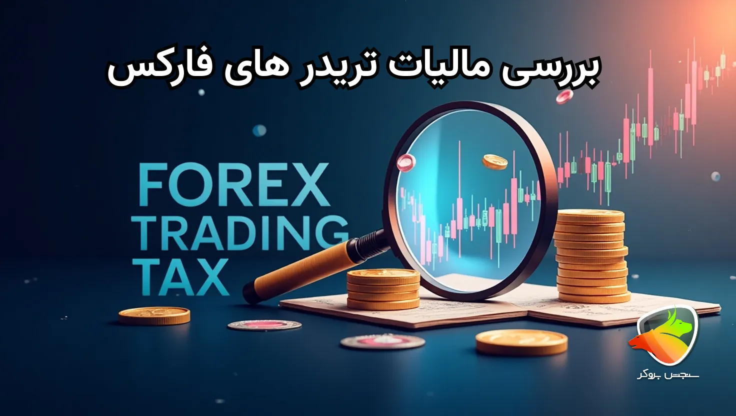 بررسی مالیات تریدر ها