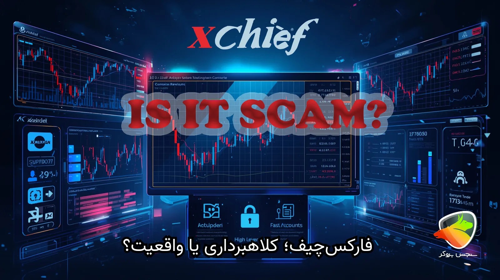 کلاهبرداری فارکس چیف واقعیت دارد؟
