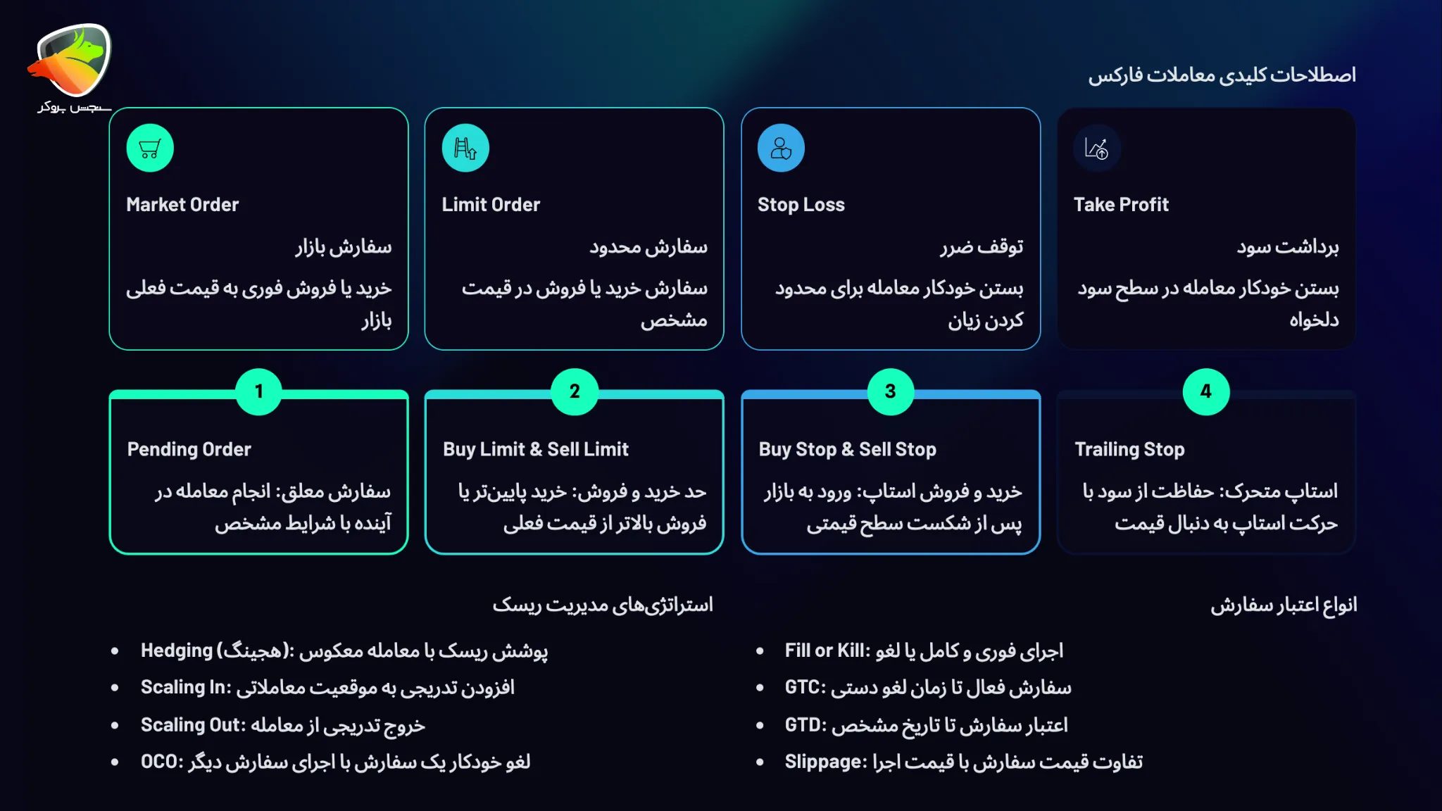 دسته‌بندی اصطلاحات فارکس