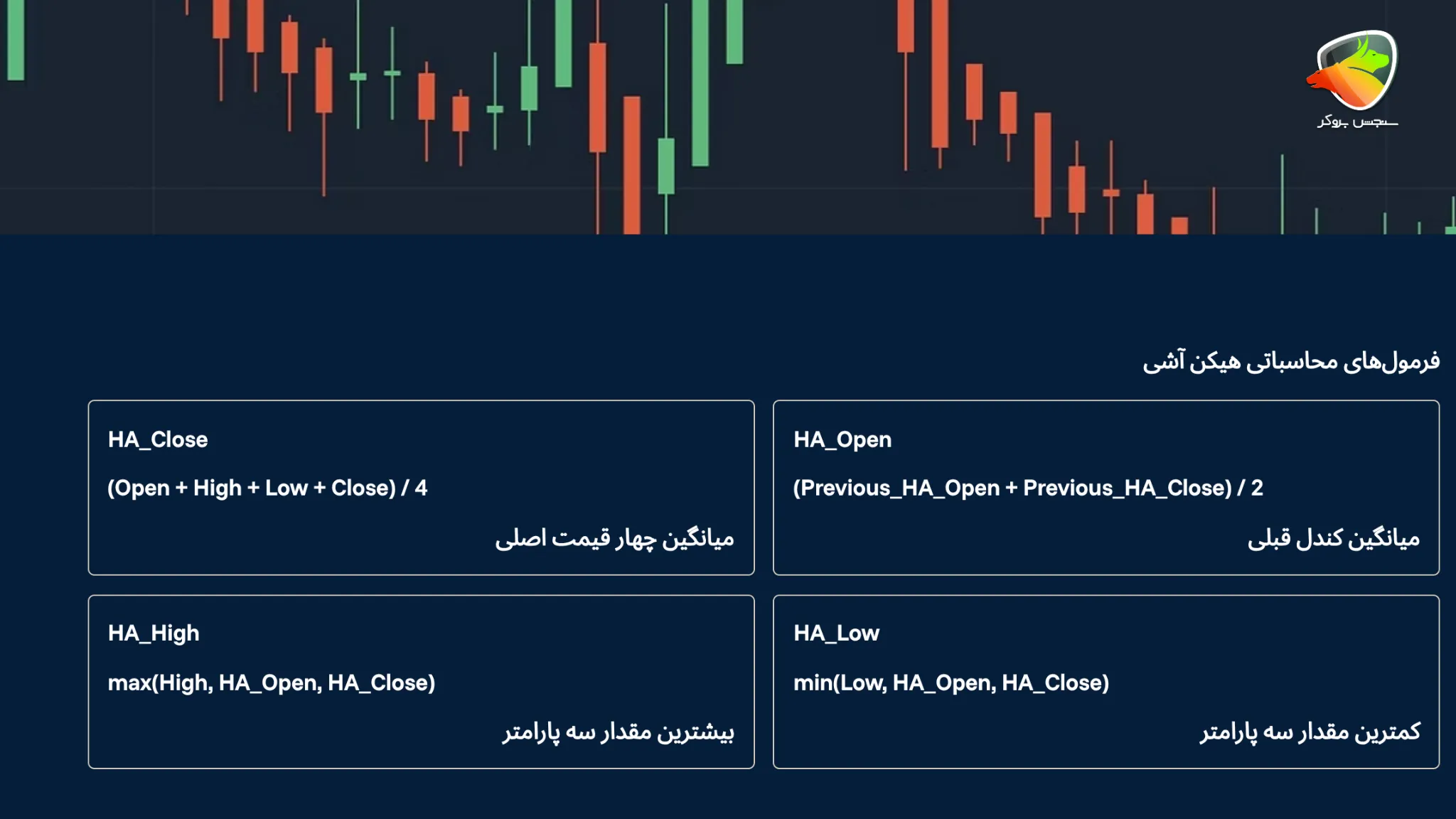 هیکن اشی چیست