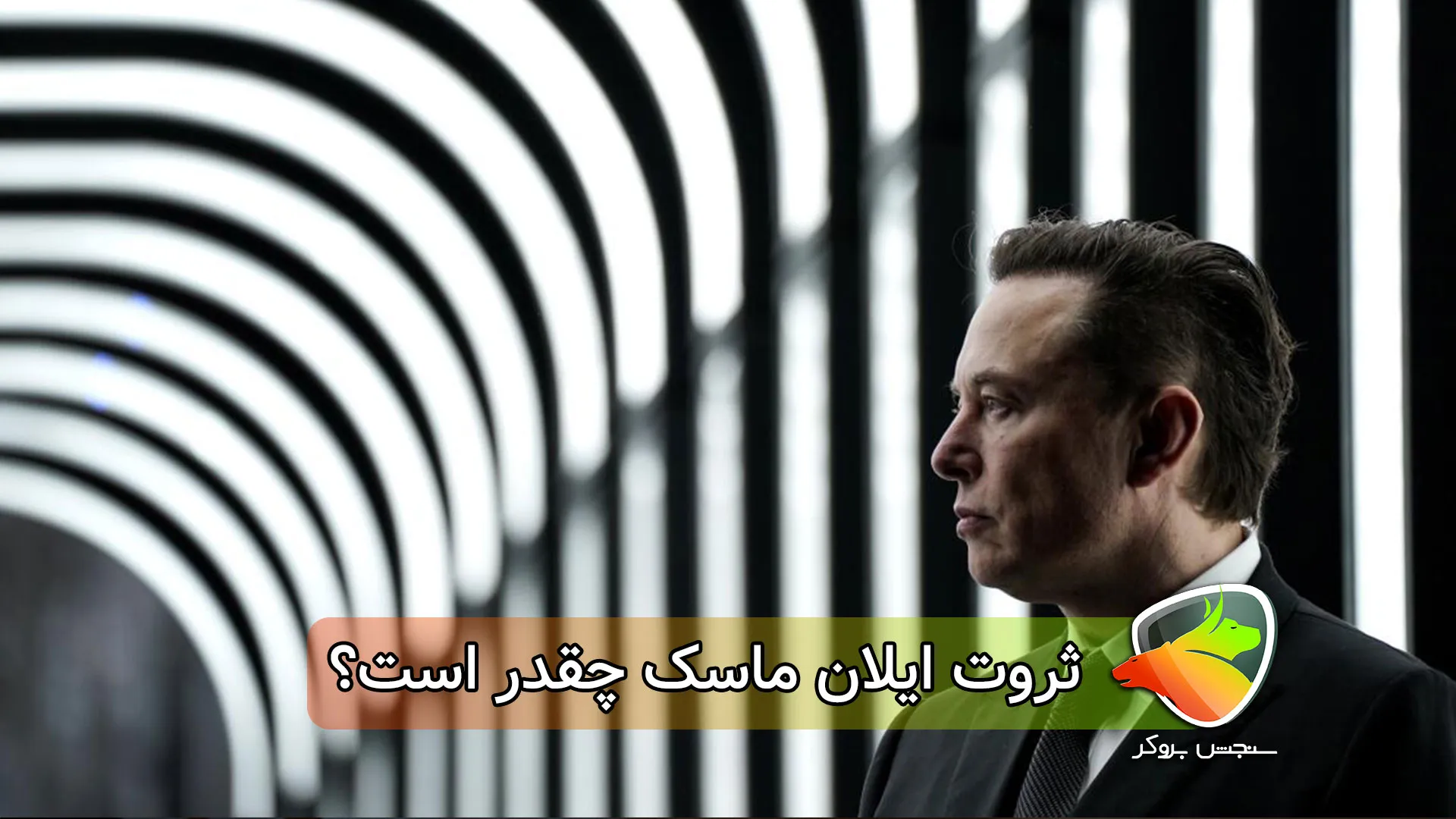 ثروت ایلان ماسک