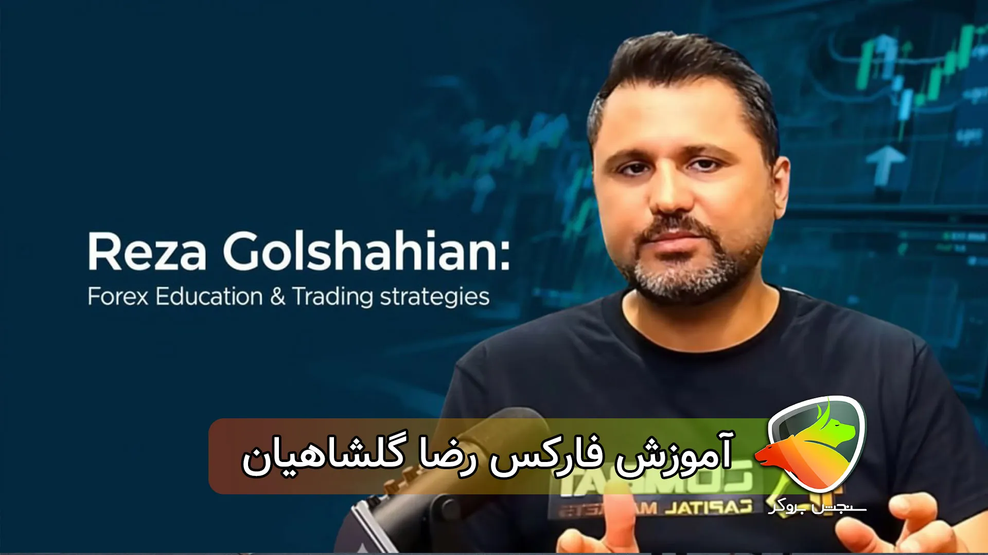 آموزش فارکس رضا گلشاهیان