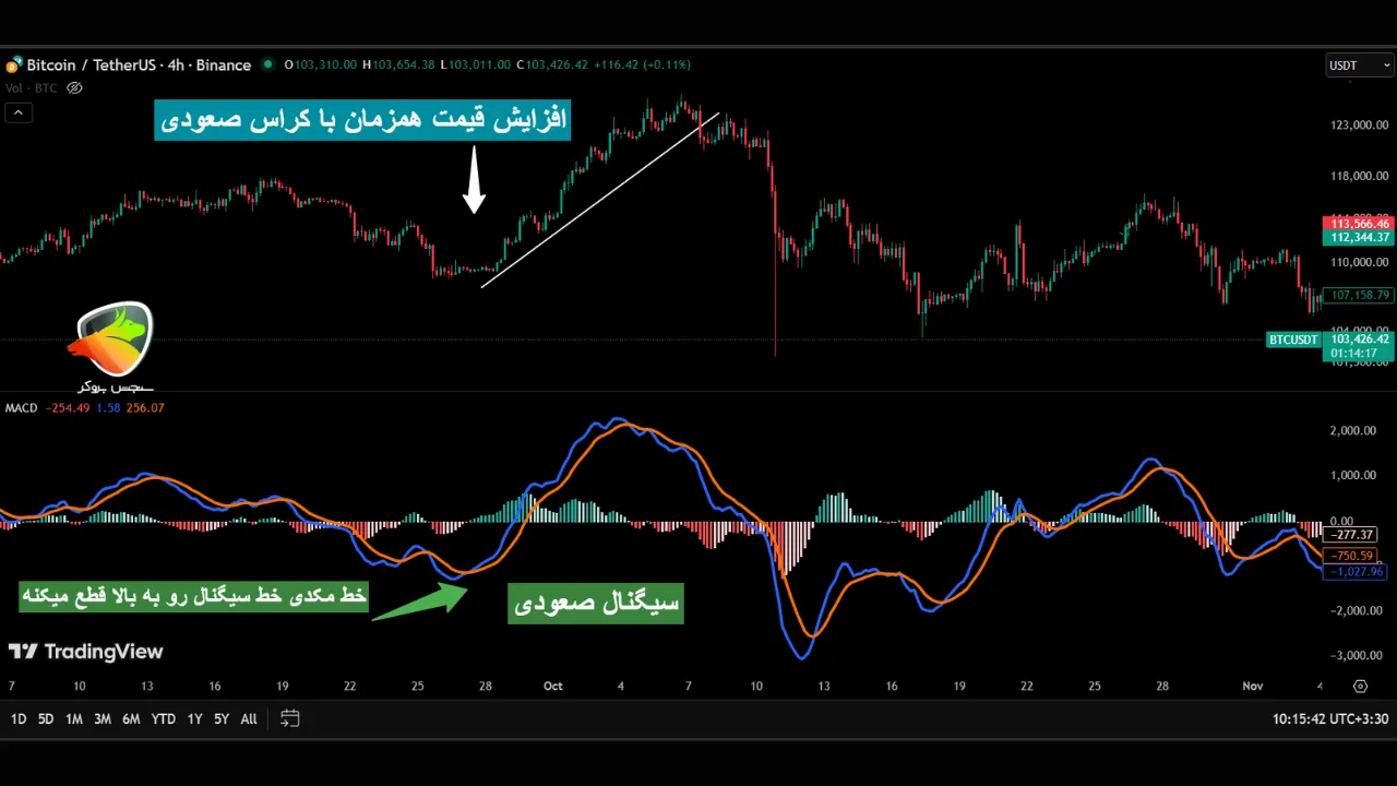 اندیکاتور مکدی در تریدینگ ویو
