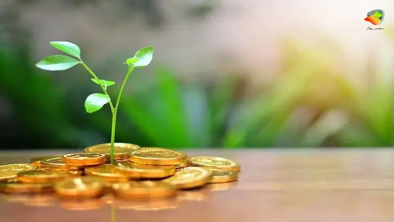 بهترین نوع طلا برای سرمایه گذاری بلند مدت