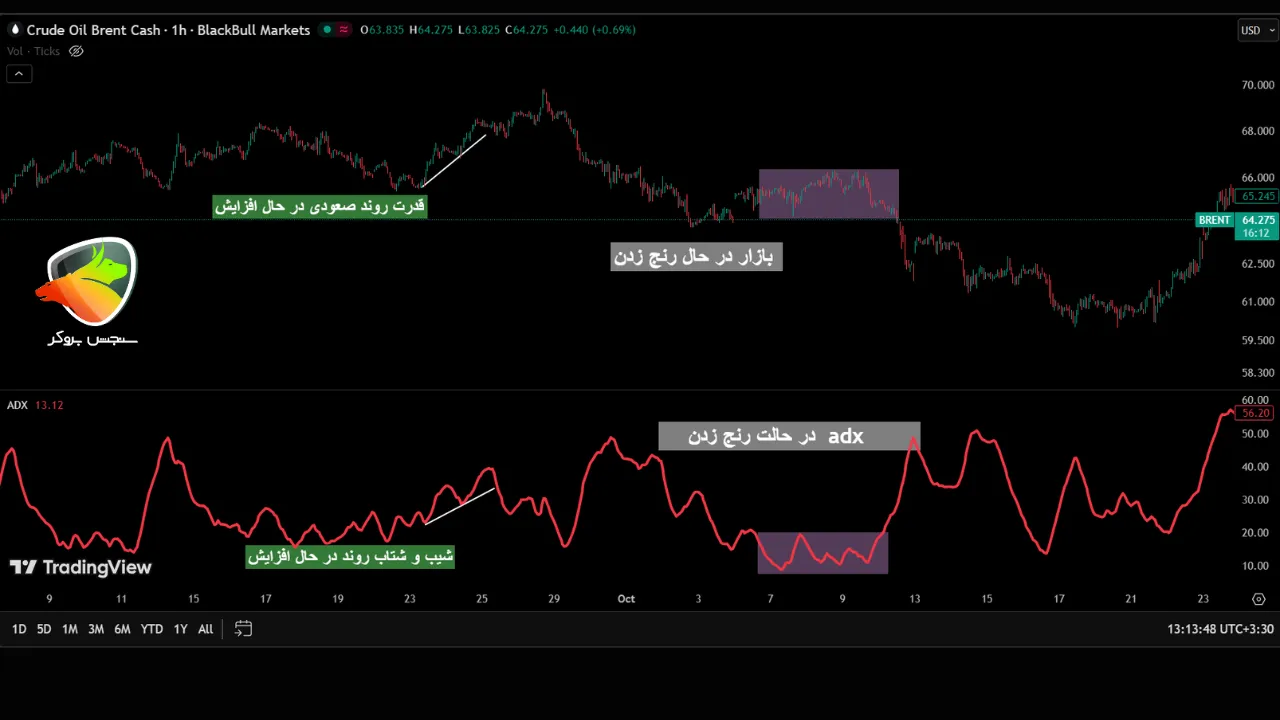 معنی اندیکاتور