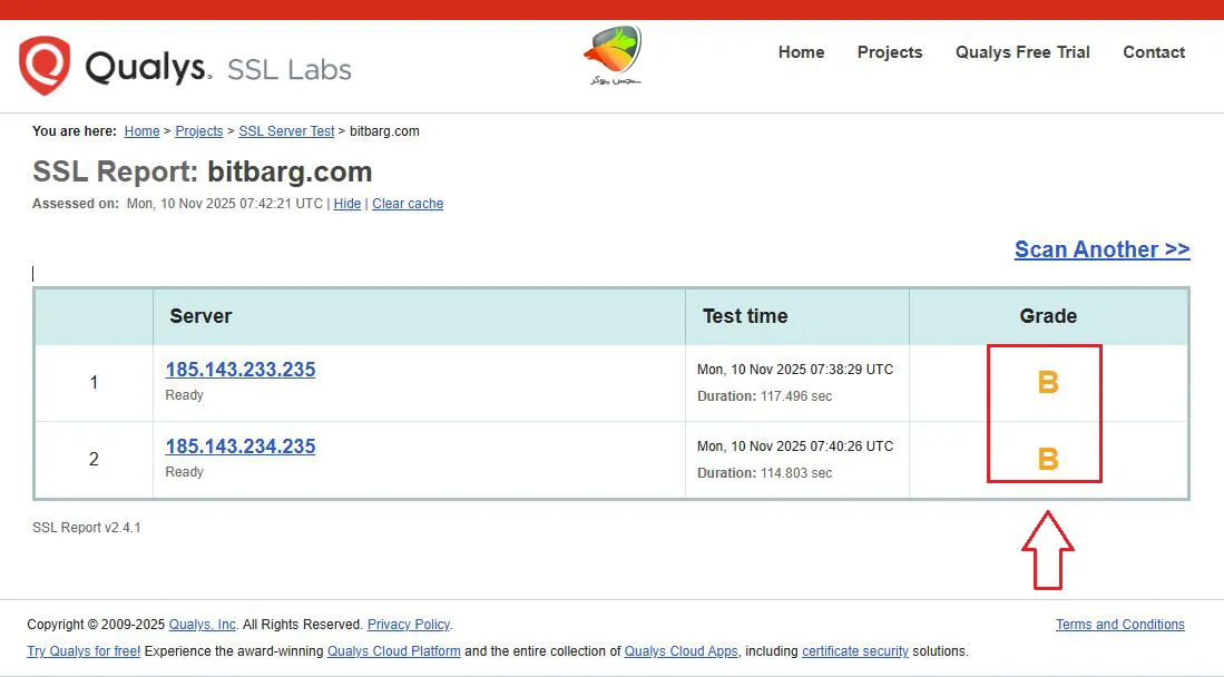 سایت بیت برگ