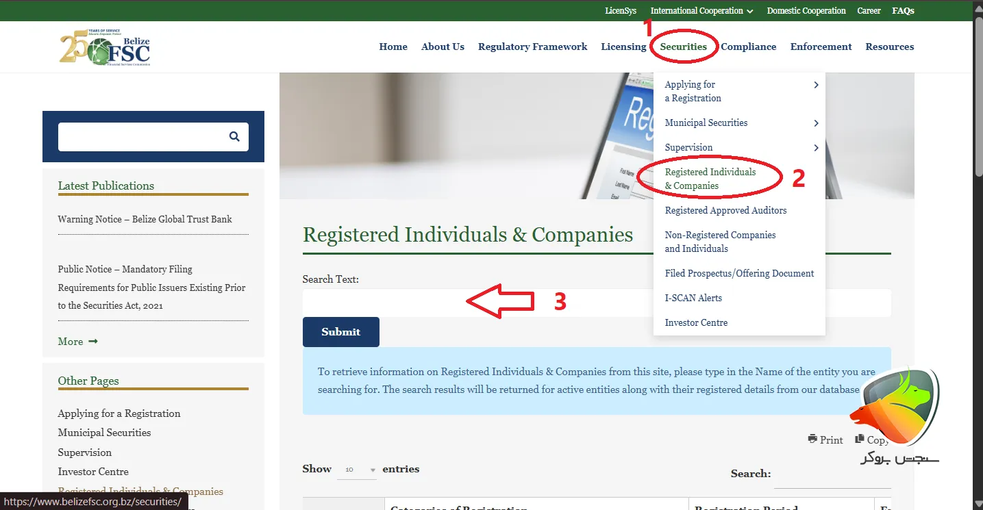 نهاد نظارتی بلیز
