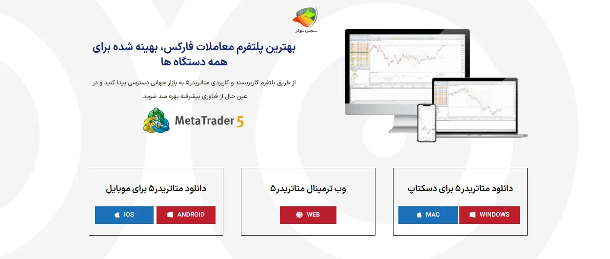 پلتفرم معاملاتی بروکر پیپ وایز