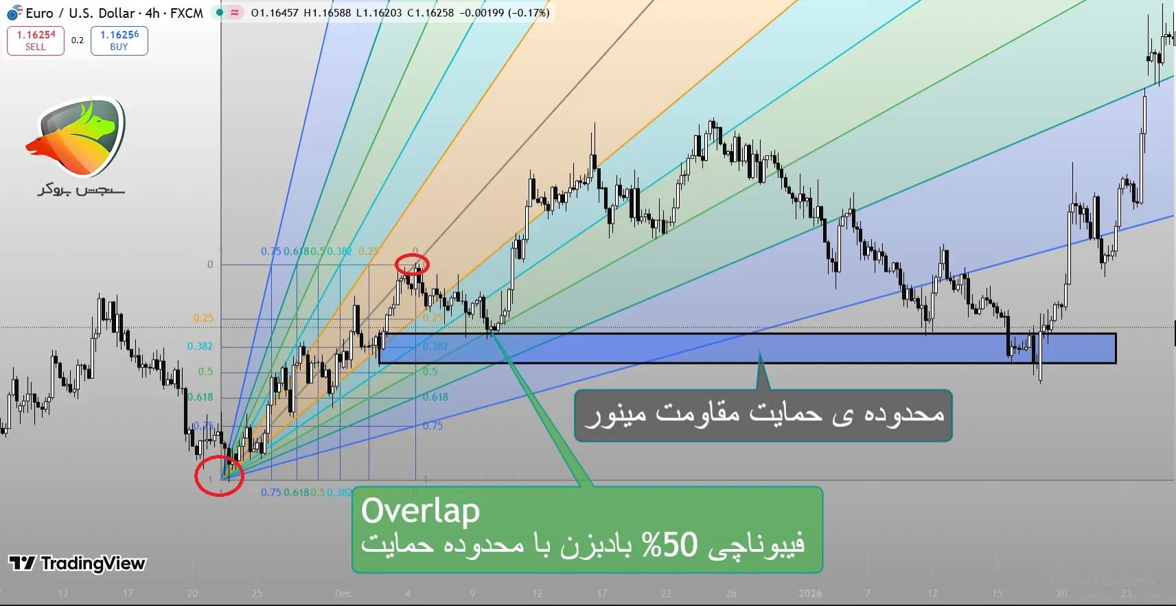 فیبوناچی فن