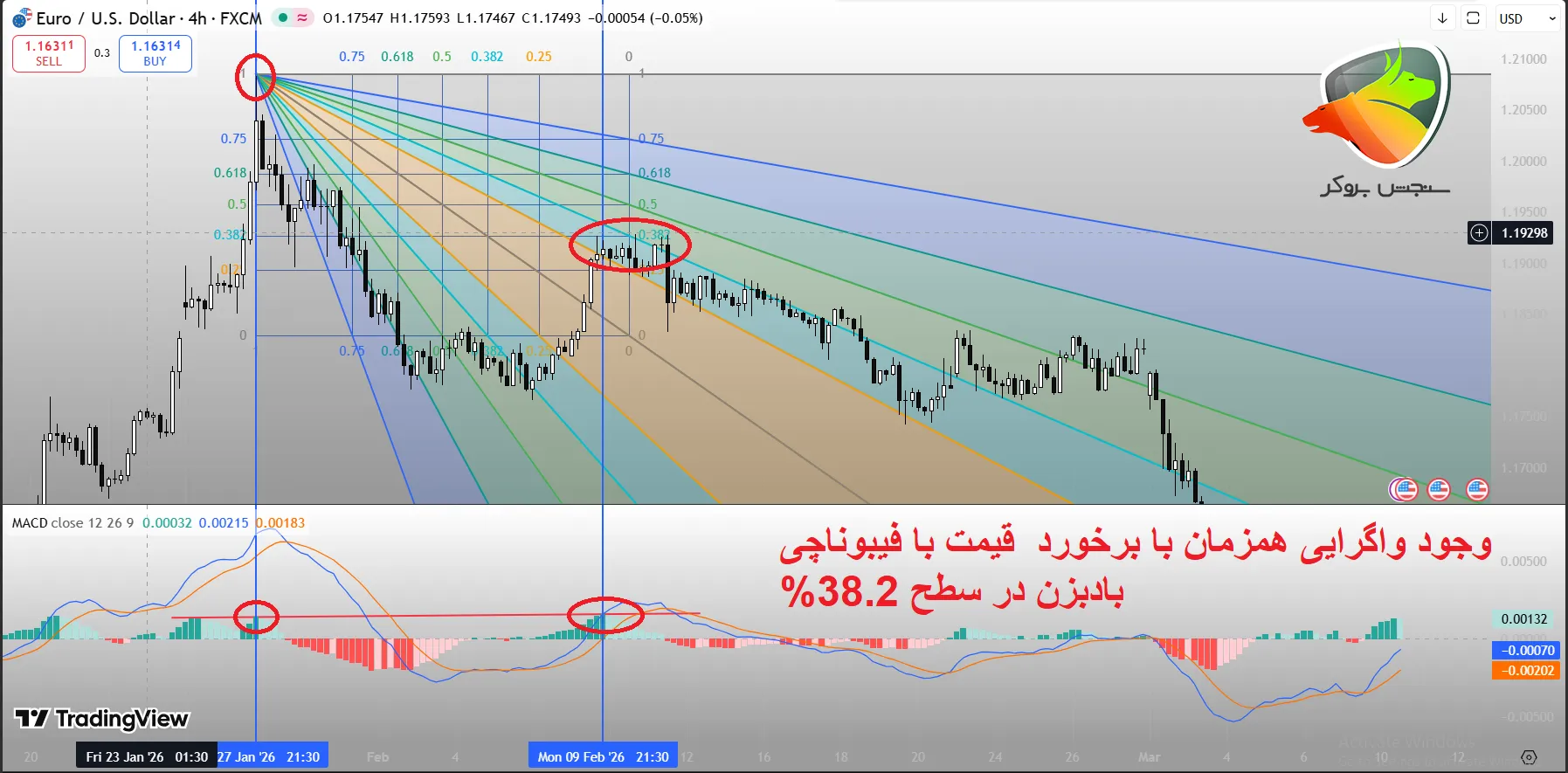 فیبوناچی فن