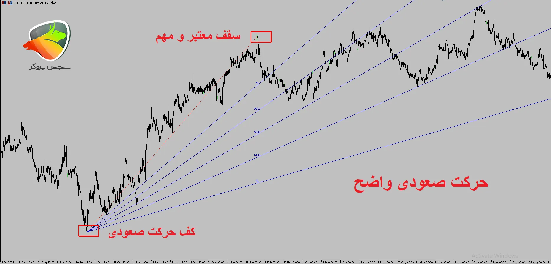 فیبوناچی بادبزنی