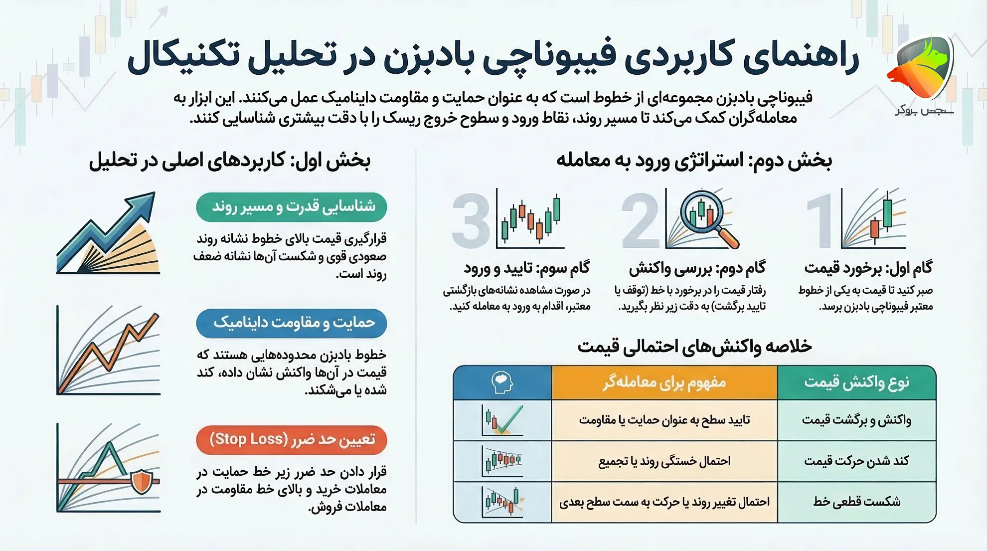 فیبوناچی فن