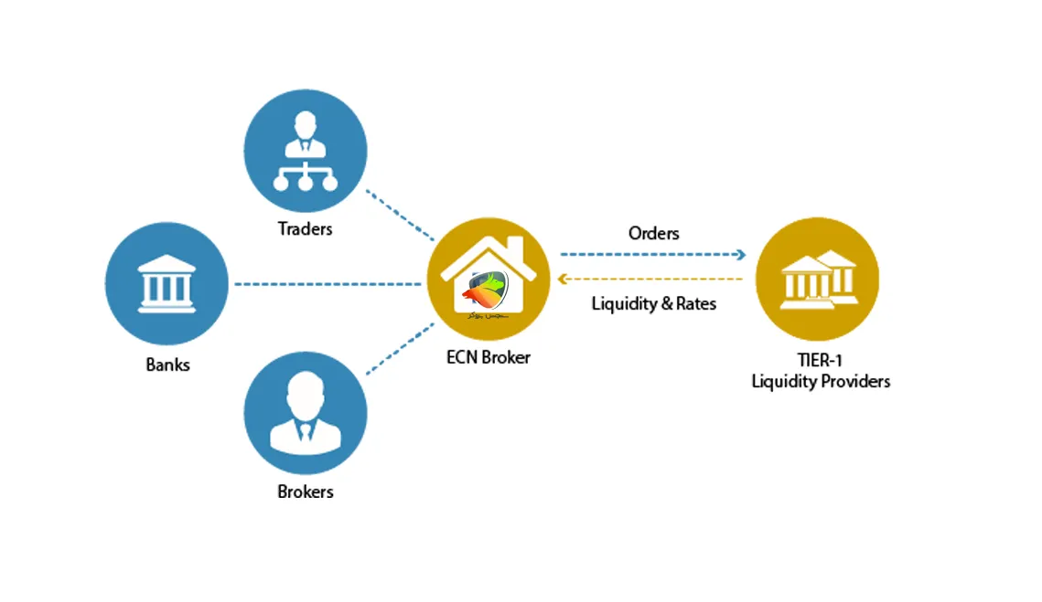 حساب ECN فارکس چیست 